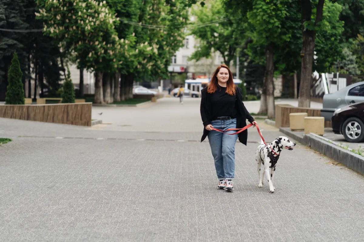 The Rise of the Kratom Market in the U.S.