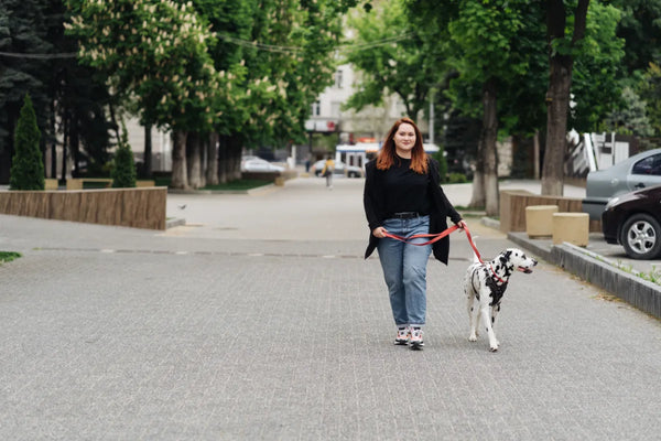 The Rise of the Kratom Market in the U.S.
