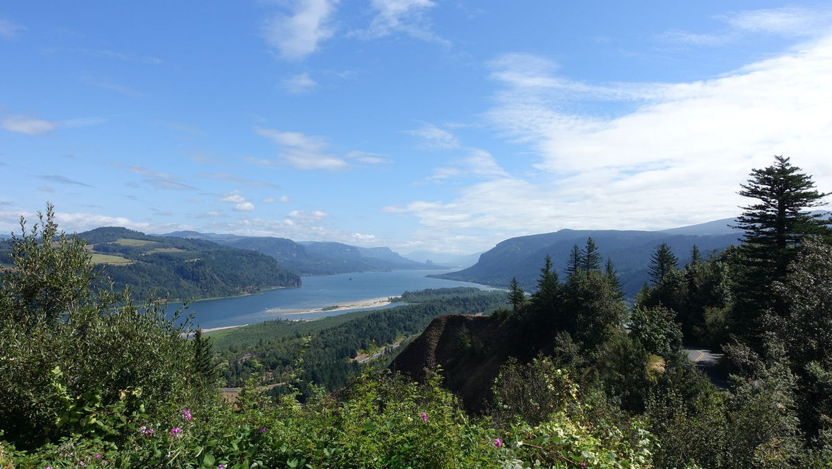 The Columbia River Gorge under a clear sky, Oregon